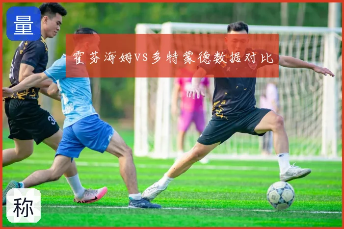 霍芬海姆vs多特蒙德数据对比